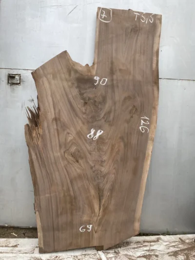American walnut #7(1)