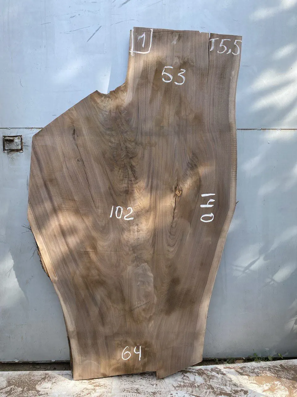 American walnut #1(1)
