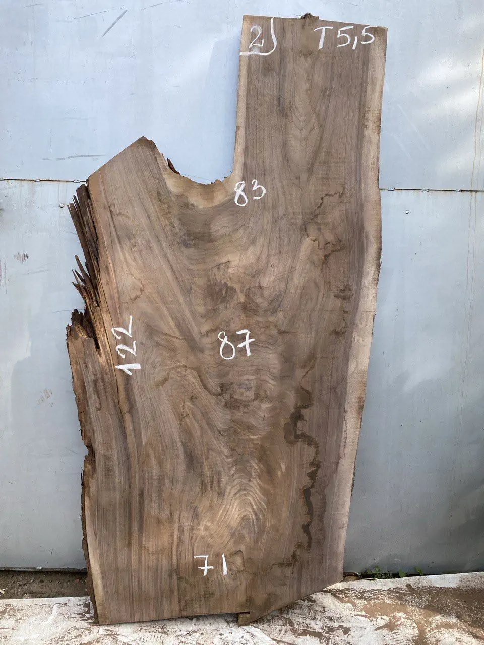 American walnut #2(1)