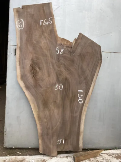 American walnut #6(1)