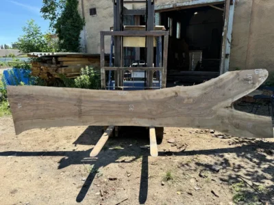 Walnut #1