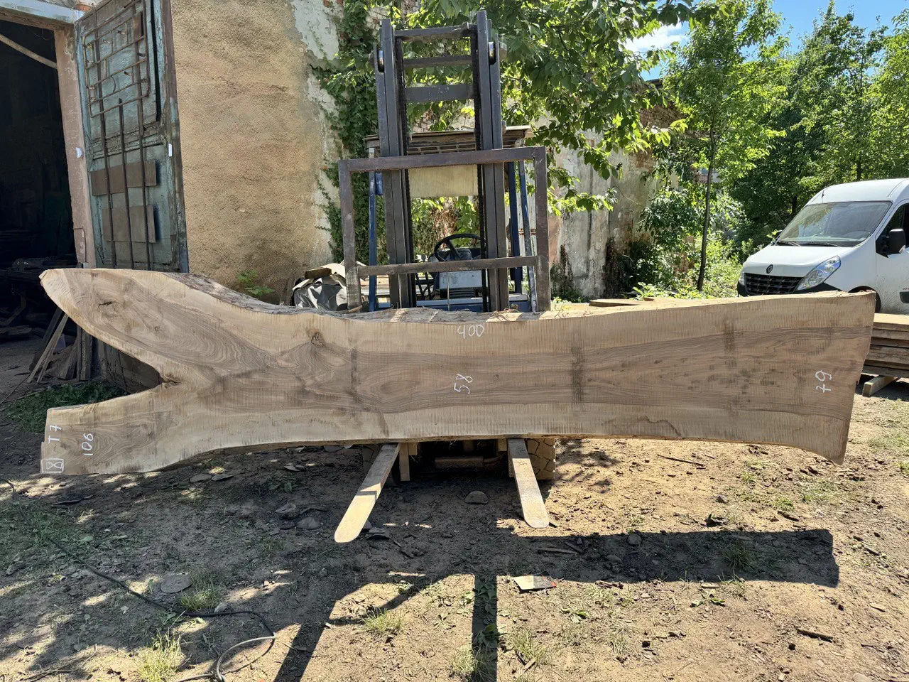 Walnut #8