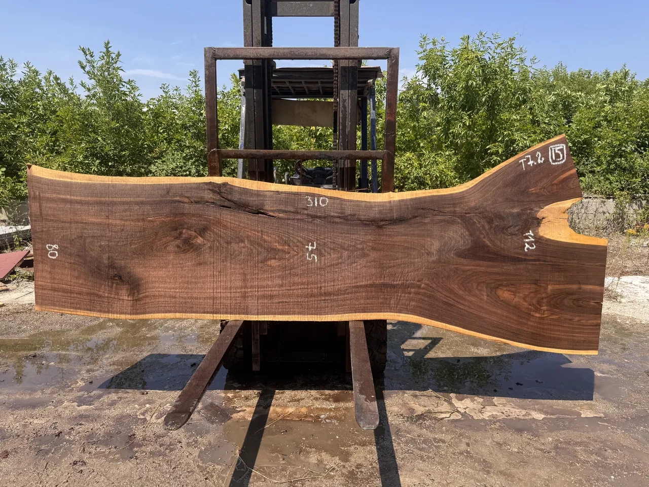 Американський горіх #15/015