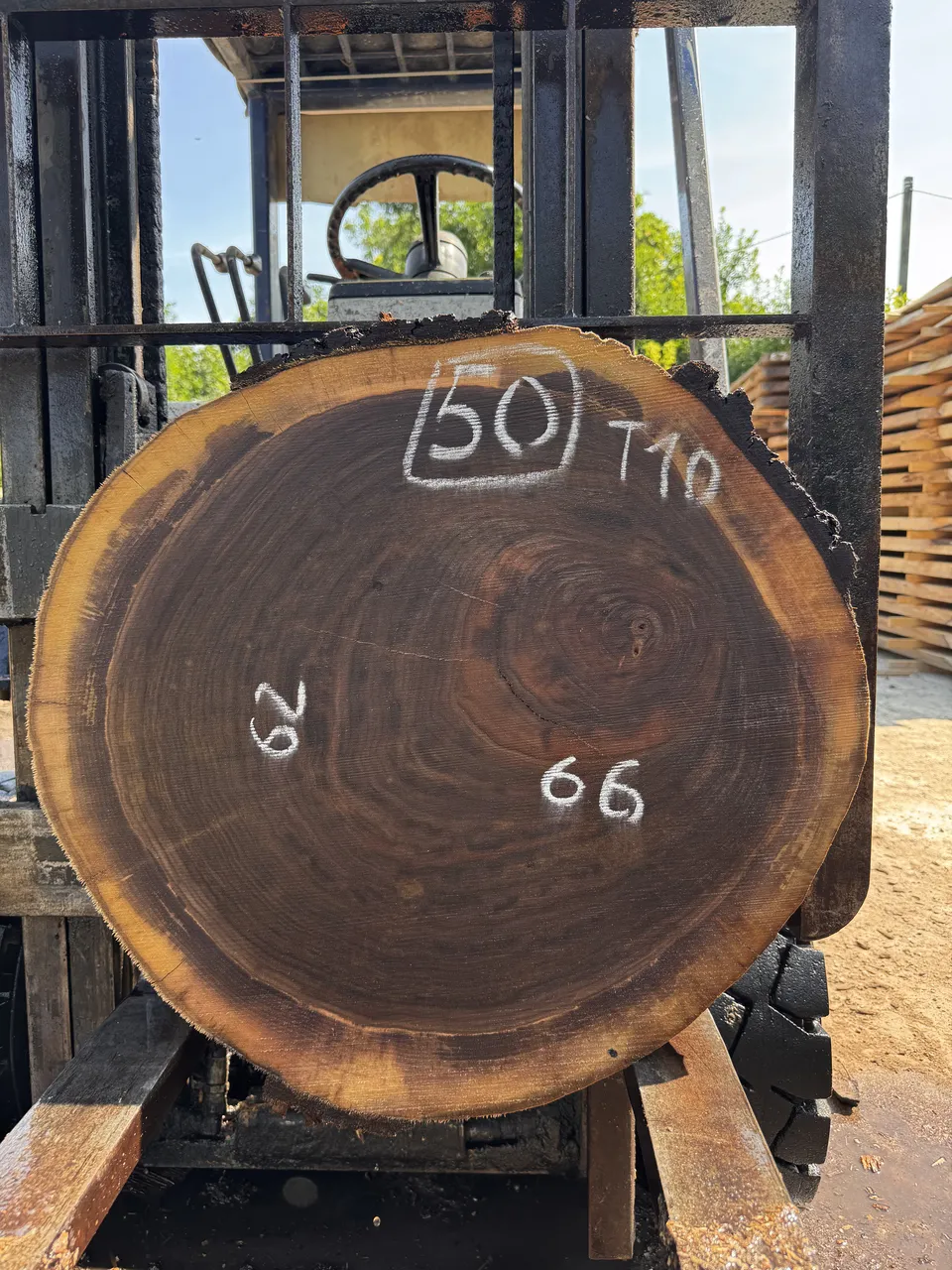 Американський горіх круг #50/0154