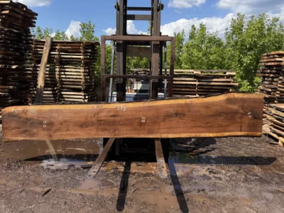 Американський горіх #36/0378