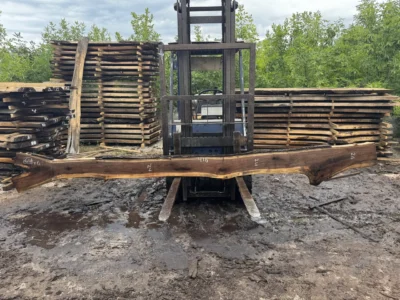 Американський горіх #64/0406