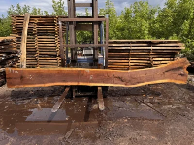 Американський горіх #71/0413