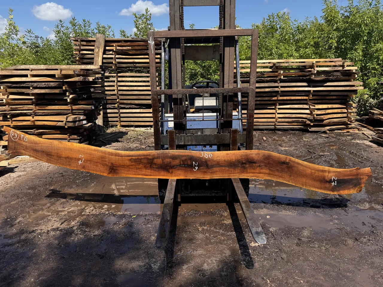 Американський горіх #79/0502